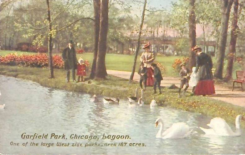 POSTCARD - CHICAGO - GARFIELD PARK - FAMILIES BY LAGOON - SWANS AND GEESE - 1913