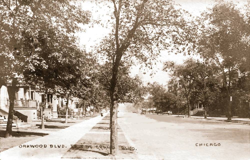 POSTCARD - CHICAGO - OAKWOOD BLVD - E OF GRAND  - HOMES ON TREE-LINED STREET - c1910