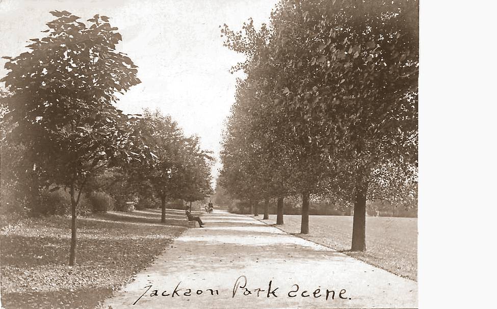 POSTCARD - CHICAGO - JACKSON PARK - TREED WAKWAY - MAN ON BENCH - 1907
