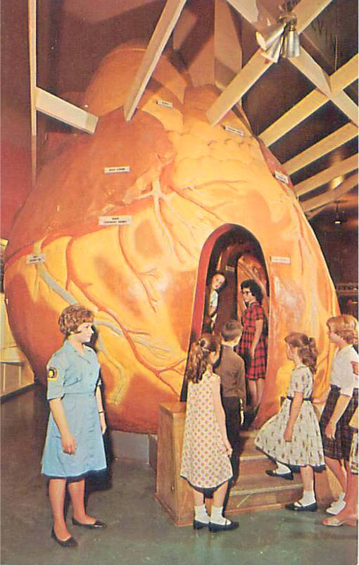 POSTCARD - CHICAGO - MUSEUM OF SCIENCE AND INDUSTRY - GIANT HEART - ON MEDICAL BALCONY - GUIDE IN UNIFORM - c1960