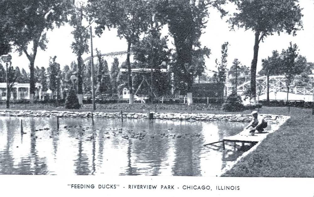 POSTCARD - CHICAGO - RIVERVIEW AMUSEMENT PARK - FEEDING THE DUCKS - c1915
