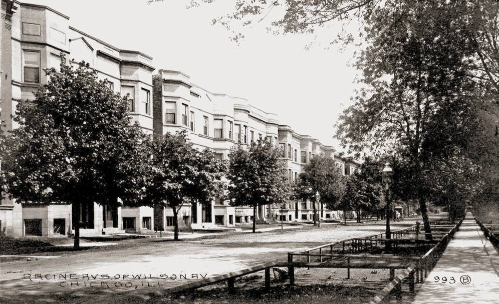 a postcard - chicago - racine ave - s of wilson - tree-lined apartment street - 1910s