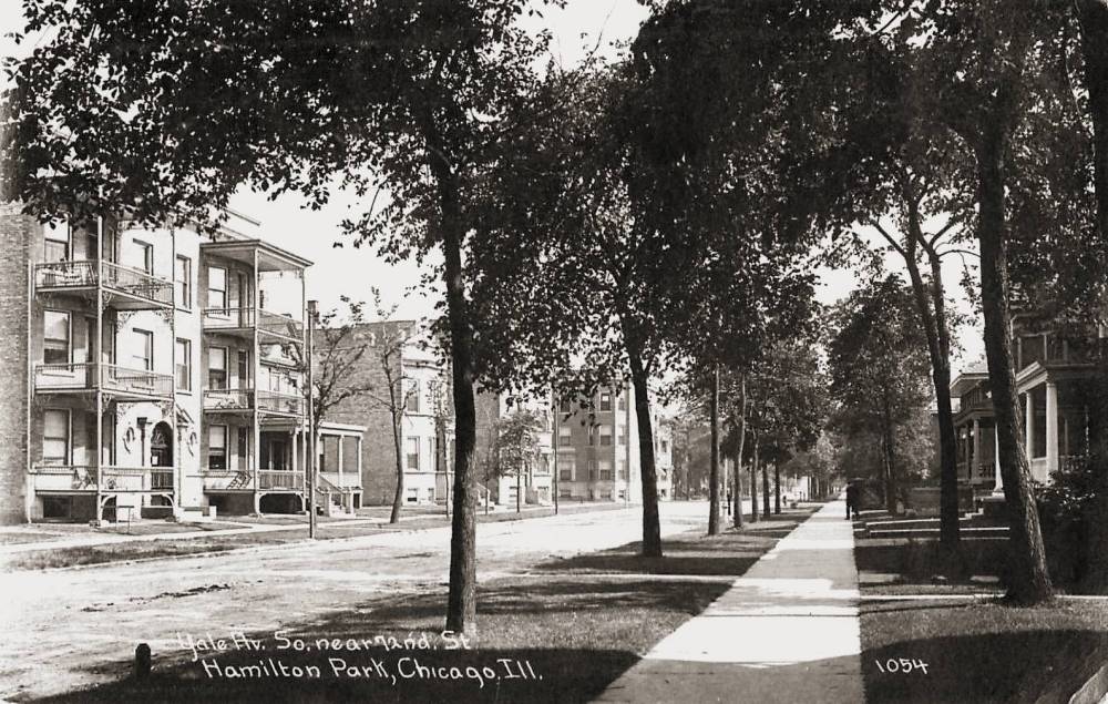 a postcard - chicago - yale ave s near 72nd street - tree-lined apartment street - 1911