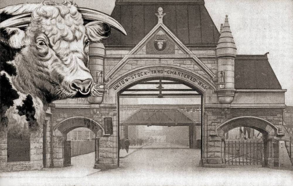 POSTCARD - CHICAGO - UNION STOCK YARDS - ENTRANCE GATE - WITH DRAWING A CATTLE HEAD - 1908